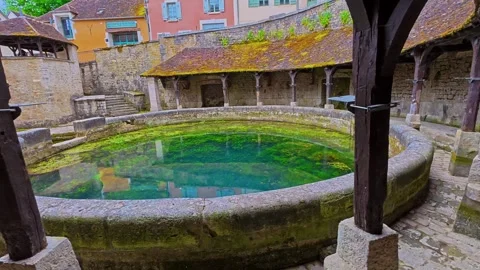 Fosse Dionne, the karst spring, located in Tonnerre, Burgundy, France Stock Footage 313988026