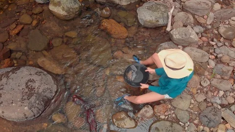 Fossicking for gold in a creek Stock-Footage 129016437
