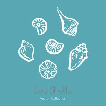 Fossil ammonite nautilus seashell vector logo set. Isolated vector of seashel 스톡 일러스트