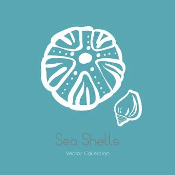 Fossil ammonite nautilus seashell vector logo set. Isolated vector of seashel Stock Illustration