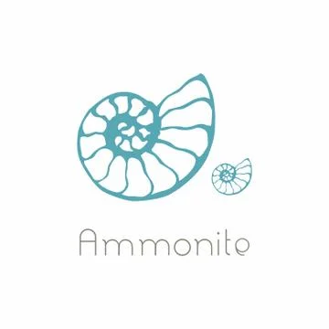 Fossil ammonite nautilus seashell vector logo. Hand drawn illustration for sp Stock Illustration