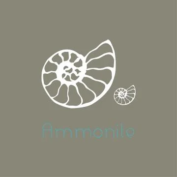 Fossil ammonite nautilus seashell vector logo. Hand drawn illustration for sp Illustrazione stock