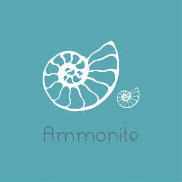 Fossil ammonite nautilus seashell vector logo. Hand drawn illustration for sp Stock Illustration