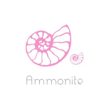 Fossil ammonite nautilus seashell vector logo. Hand drawn illustration for sp Stock Illustration