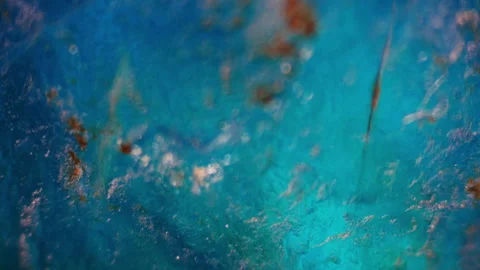 Fossil Examination. Detailed study of ancient remains under microscope. Explore Stock Footage 278185151