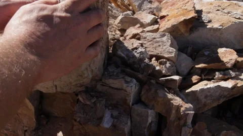Fossil Excavation and Extraction Video stock 43529924