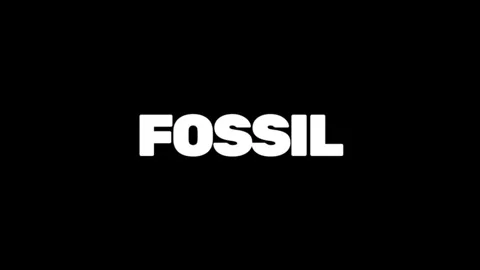 FOSSIL Stock Footage 337971361