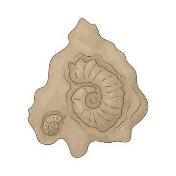 Fossil illustration Stock Illustration