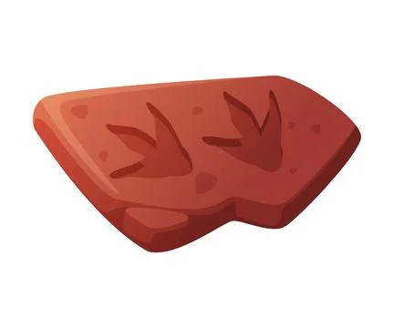 Fossil Imprint Obtained by Digging on Surface of Soil or Ground Vector Stock Illustration