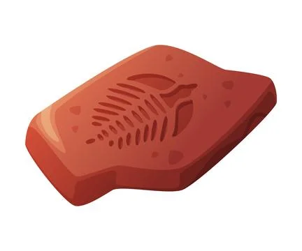 Fossil Imprint Obtained by Digging on Surface of Soil or Ground Vector Stock Illustration