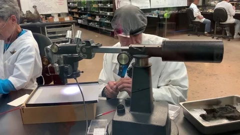 The Fossil Lab is where visitors can see... | Stock Video | Pond5