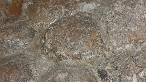 Fossil Lambeosaurine eggs Video stock 69920019