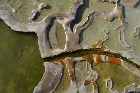  fossil mineral texture-high angle Stock Photos