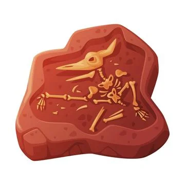 Fossil Obtained by Digging Rested in Soil or Ground Vector Illustration Stock Illustration