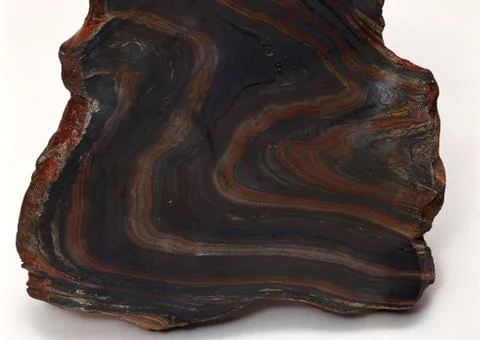 Fossil Stock Photos