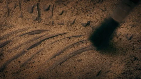 Fossil Revealed By Archeologist Under Sand Stock Footage 254180331
