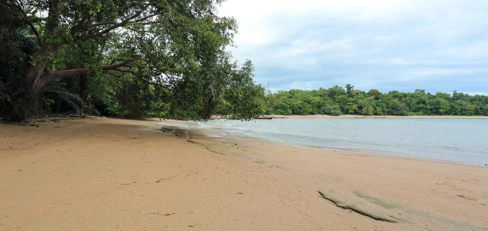 Fossil Shell Beach Stock Photos