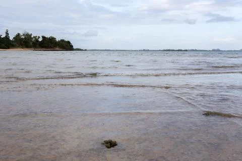 Fossil Shell Beach Foto stock