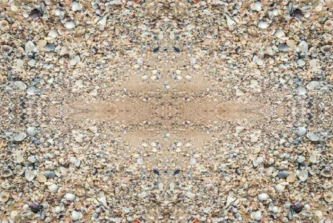 Fossil shell on beach Stock Photos