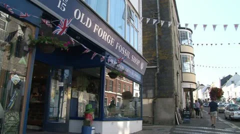 Fossil Shop Video stock 18010020