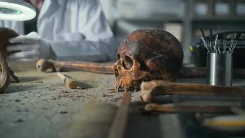 Fossil skull of extinct prehistoric man and professional tools on the table Stock Footage 282161441