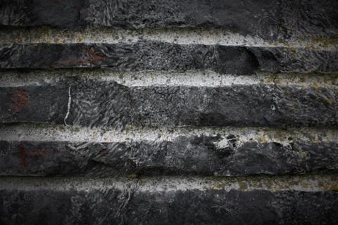 Fossil Texture Stock Photos