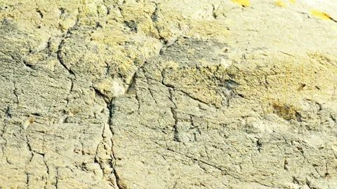 Fossil track rock texture background with copy space for motion graphics Stock Footage 335865207