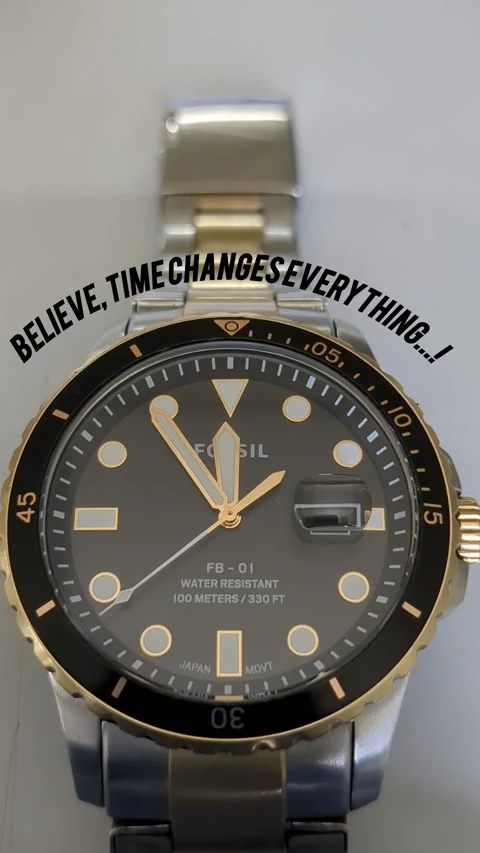 Fossil Watch Stock Footage 273548584