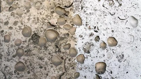 Fossiliferous limestone. Brick wall. Background and textures photography. Foto stock