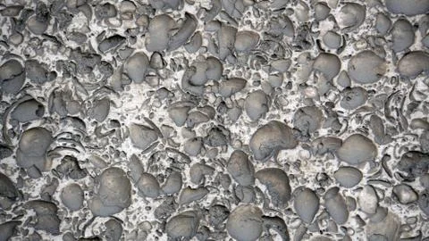 Fossiliferous limestone. Brick wall. Background and textures photography. Stock Photos