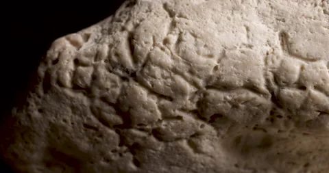 Fossilised Dinosaur rib bone fragment. Ancient remains. Macro close up. 動画素材 142580889