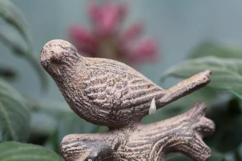 Fossilized bird Stock Photos