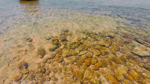 Fossilized Coral Fragments in Clear Shallow Rippling Ocean Water Stock Footage 337582893