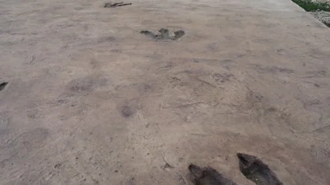 Fossilized dinosaur footprints preserved in ancient stone Stock Footage 330554576