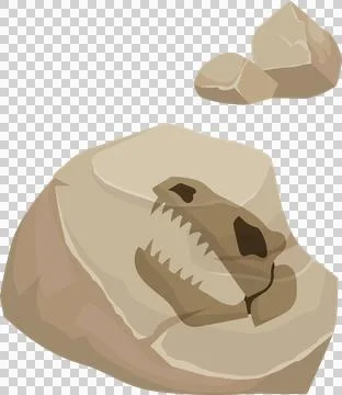 Fossilized dinosaur skull imprint is appearing in sandstone over transparent Ilustração Stock