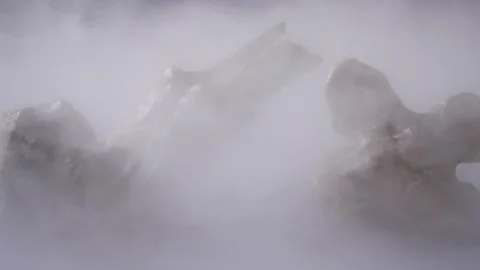 Fossilized mammoth bones and vertebra in the haze Stock Footage 269901949