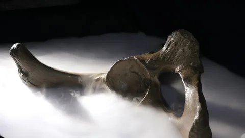 Fossilized mammoth bones covered with steam Video stock 269835119