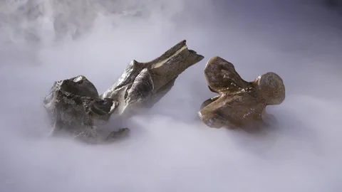 Fossilized mammoth joints in the haze Stock Footage 269901909
