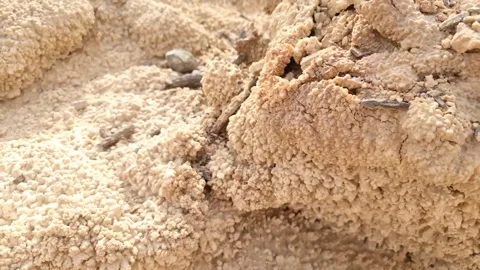 Fossilized, Moon like surface Stock Footage 195156303