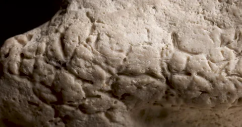 Fossilized remains of a Dinosaur rib bone fragment. Ancient remains. Macro Stock Footage 145473967
