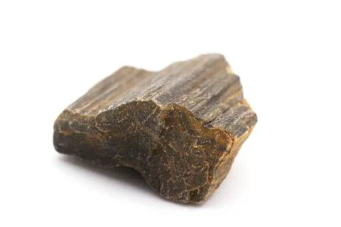 Fossilized timber Stock Photos