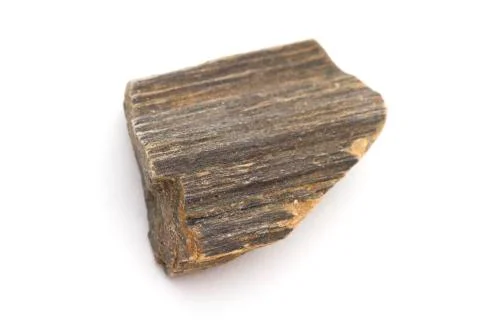 Fossilized timber Stock Photos