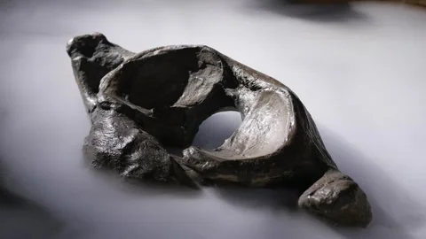 Fossilizes joints of mammoth in the haze Stock Footage 269901937