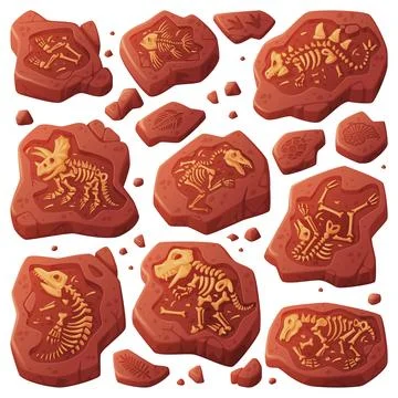 Fossils Obtained by Digging Rested in Soil or Ground Vector Set Stock Illustration