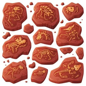 Fossils Obtained by Digging Rested in Soil or Ground Vector Set Stock Illustration