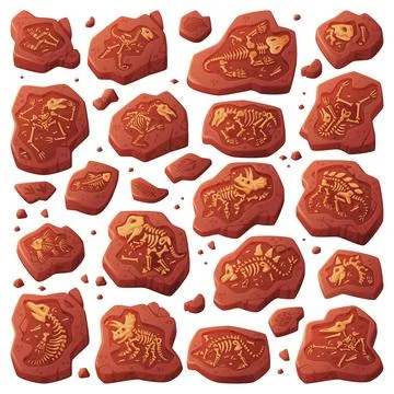 Fossils Obtained by Digging Rested in Soil or Ground Vector Set Stock Illustration