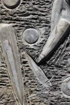 Fossils on rock Stock Photos