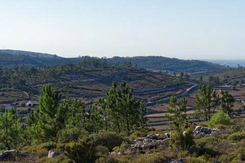 Fossils in Serra de Aire e Candeeiros Foto stock