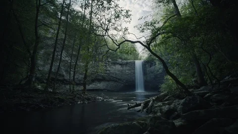 Foster Falls Exaggerated Time Lapse and People in Dark and Brooding Forest Stock Footage 107261158