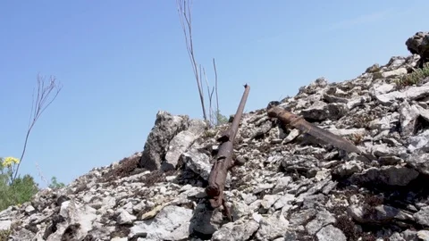 Found a German bayonet, and a rusty rifle Video stock 95229313